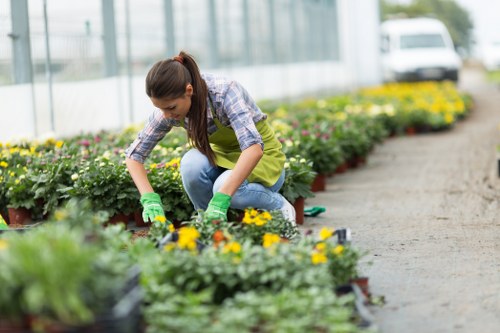 Professional gardening services in East Dulwich for neat and healthy outdoor spaces