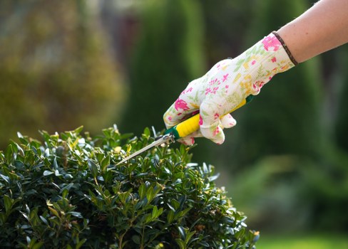 Gardeners East Dulwich modern slavery policy introduction