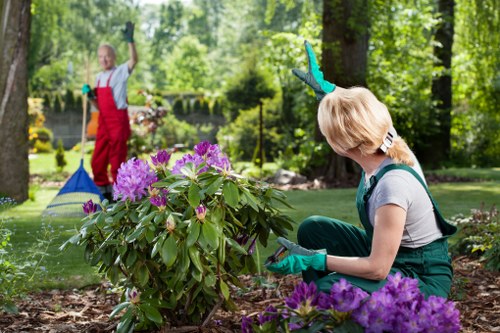 Illustration representing accessible gardening services in East Dulwich