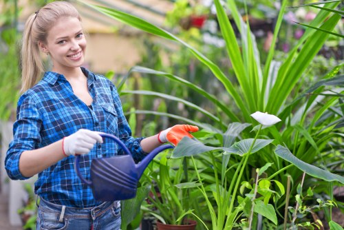 Customer complaint review for gardening services