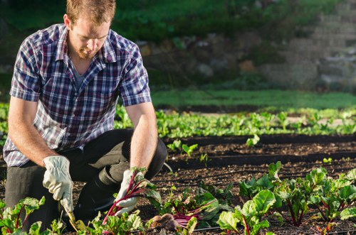 Gardeners separating green waste for composting
