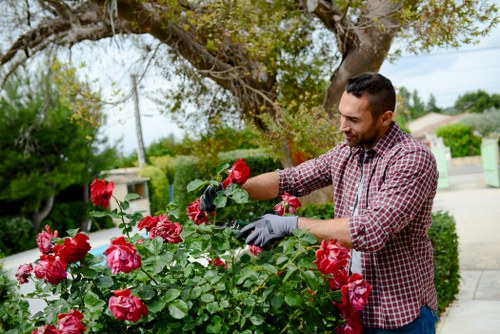 Recycling and sustainability work in a local garden setting