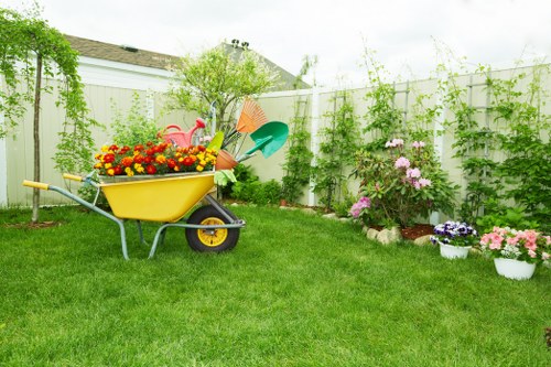 Garden lawn maintenance in East Dulwich with mowing and feeding