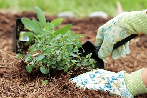Analytics cookies supporting performance monitoring on a local gardening site
