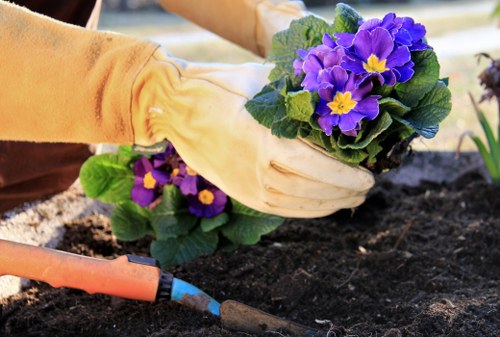 Reliable Gardeners East Dulwich working on a well-kept garden