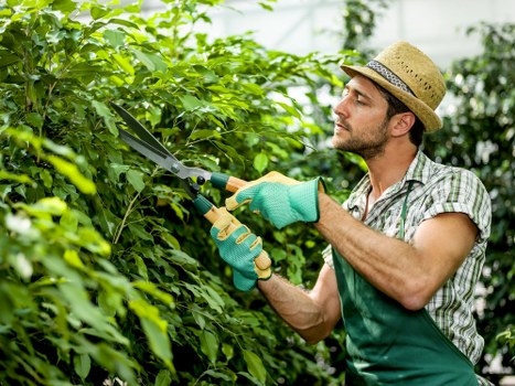 Low-carbon van supporting sustainable garden services