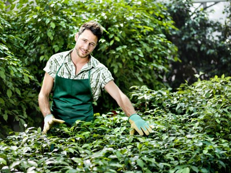Responsible garden care and site safety measures