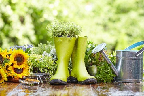 Seasonal gardening services in East Dulwich for tidy lawns and borders
