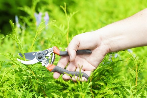 Transparent pricing and tailored garden quotes for East Dulwich properties