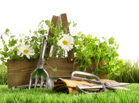 Professional patio cleaning improving outdoor space in East Dulwich