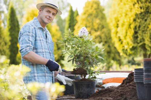 Gardening services in East Dulwich for homes, rentals, and commercial properties