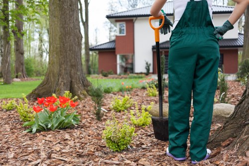 Seasonal garden maintenance in East Dulwich with planted borders