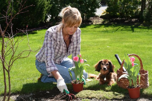 Complaint resolution process for garden maintenance