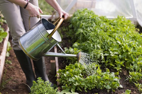 Regular hedge maintenance for a healthy East Dulwich property