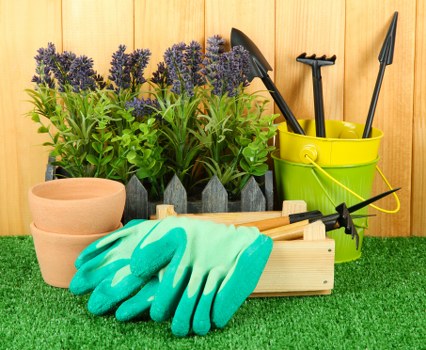 East Dulwich gardeners improving a residential garden with seasonal care