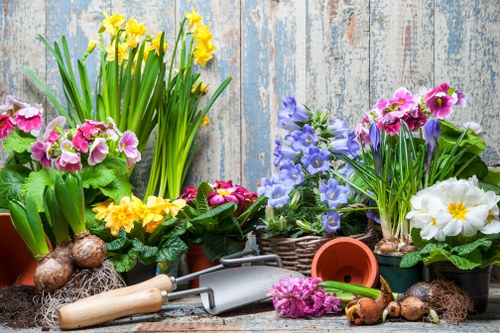 Seasonal planting and greenery for an East Dulwich garden