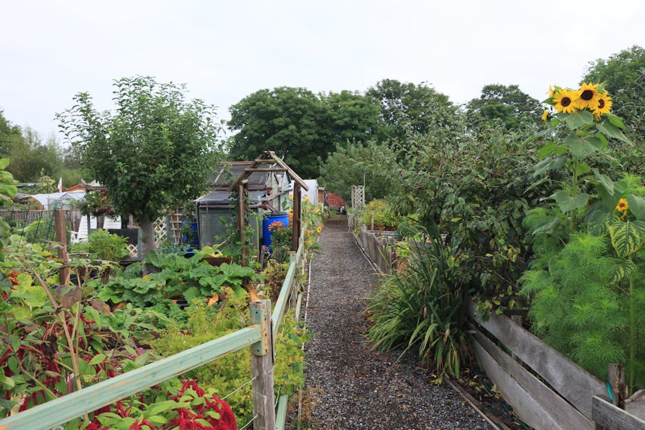 A charming residential street with a row of terraced houses featuring brick facades and white-framed windows. In front of the houses, there is a lush, well-maintained garden bed with a variety of pott